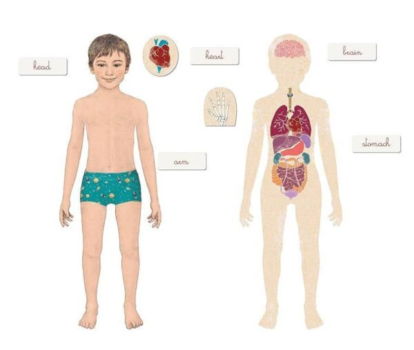 Clementoni Montessori - Image 2