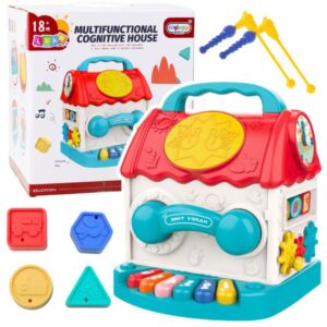 Multifunctional Cognitive House