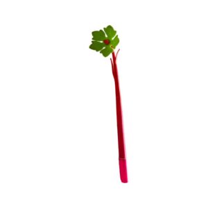 Flower Special Pen