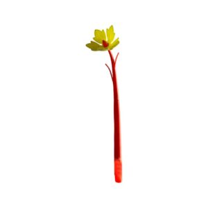 Flower Special Pen