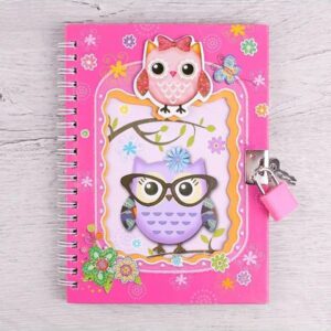 Pink Owl Notebook with Lock size a6