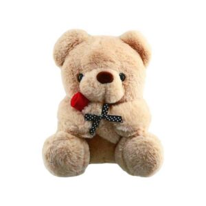 Teddy Bear Plush With Flower 30 CM