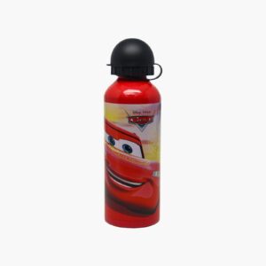 McQueen Stainless Water Bottle 500 Ml