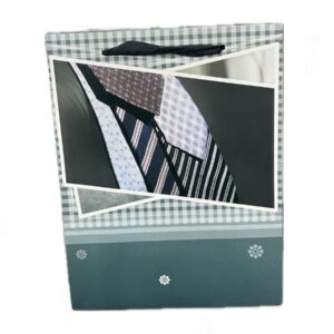 Carton Paper Bag 23*17.5 cm