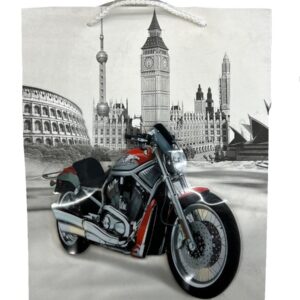 Motorcycle Carton Bag