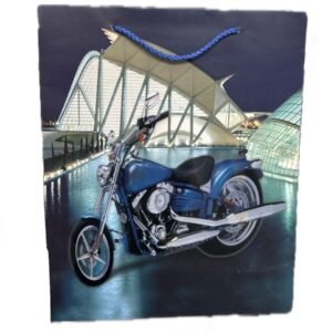 Motorcycle Carton Bag