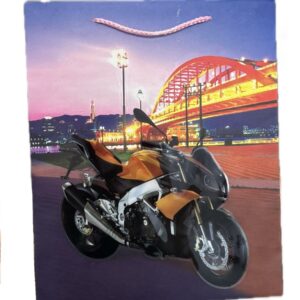Motorcycle Carton Bag
