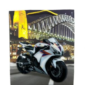 Motorcycle Carton Bag