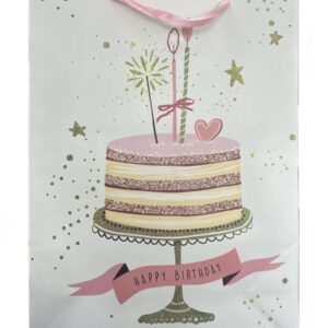 Birthday Cake Carton Bag