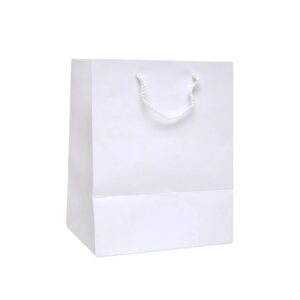 Carton Bag with Rope Handle