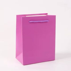 Carton Bag with Rope Handle