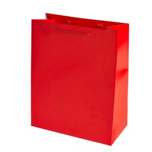 Carton Bag with Rope Handle