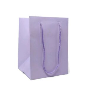 Carton Bag with Rope Handle