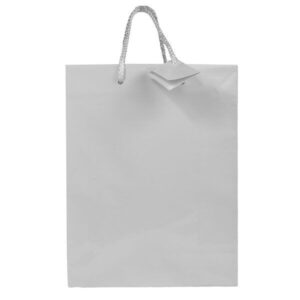 Carton Bag with Rope Handle