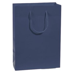 Carton Bag with Rope Handle
