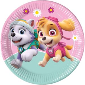 Disney paw patrol Plates 9” (8 pcs)