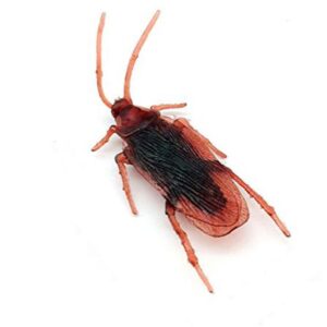 creepy coackroach toy