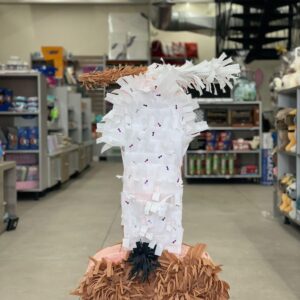 Dick Piñatas