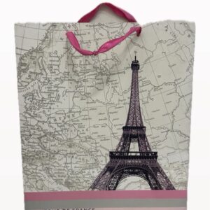 Carton Bag with Design 32*26