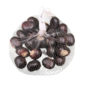 Fake kastana Decoration