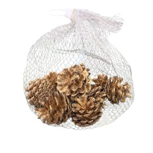 Pinecones 10 Pieces