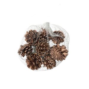 Pinecones 10 Pieces