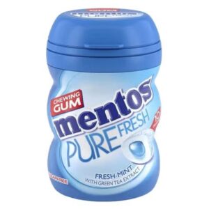 Mini Mentos Chewing Gum Pure Fresh Mint 10 pcs 17.5g