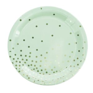 Pastel Dot paper plates 9” (8pcs)