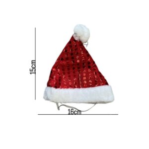 Christmas Hat