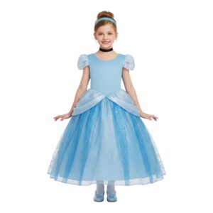 Cindrella Girl Costume