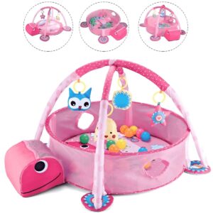 Activity Gym & Ball Pit
