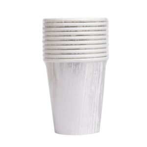 Carton Paper Cups: Metallic Silver (10pcs)