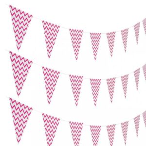 Hot Pink Zigzag Party Flags Banner