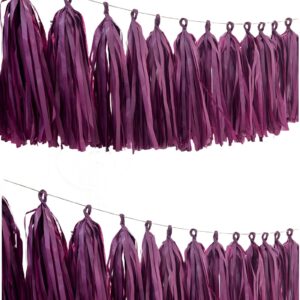 Berry Tissue Paper Tassel
