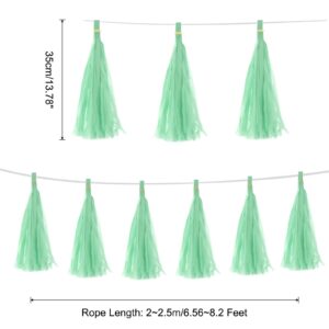 Aqua Tissue Paper Tassel