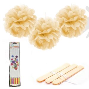 Party PomPom Favor 35cm