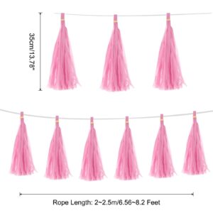 Pink Pastel Tissue Paper Tassel
