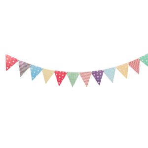 Multi-color Party Flags Banner