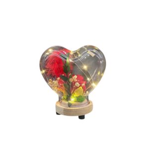 Glass Heart Dome With LED Lights.