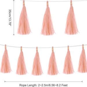Somo Tissue Paper Tassel