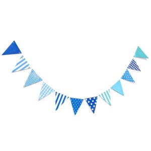 Party Blue Flags Banner