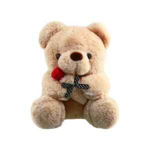 Teddy Bear Plush With Flower 30 CM