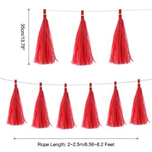 Red Tissue Paper Tassel