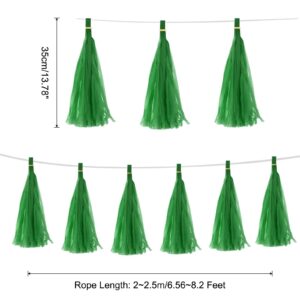 Green Tissue Paper Tassel
