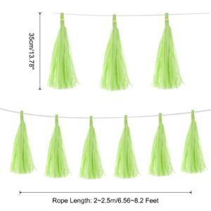Green Pastel Tissue Paper Tassel
