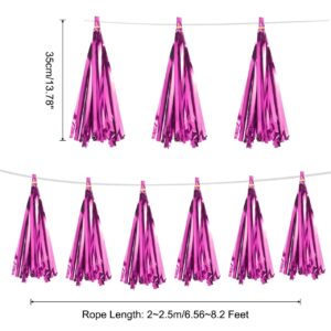 Hot Pink Tissue Paper Tassel