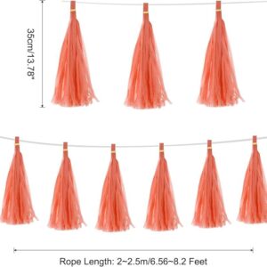 Peach Tissue Paper Tassel