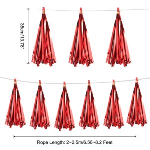 Metalic Red Tissue Paper Tassel