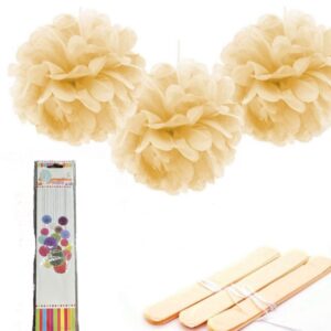 Party PomPom Favor 25cm