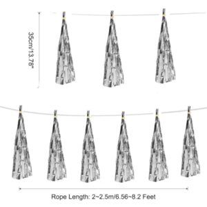 Silver Tissue Paper Tassel